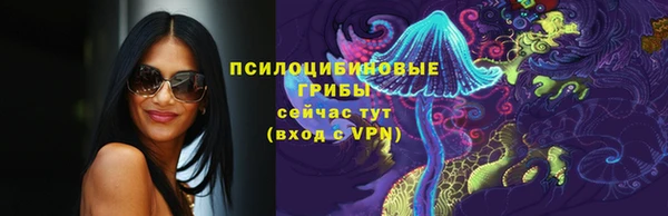 PSILOCYBIN Алексеевка