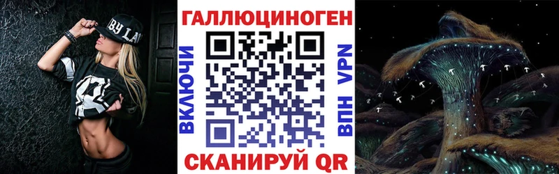 даркнет сайт  Курлово  Псилоцибиновые грибы Psilocybe 